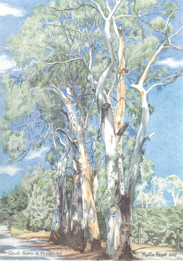 Ghost Gums at Murder Hill by martin Hazell