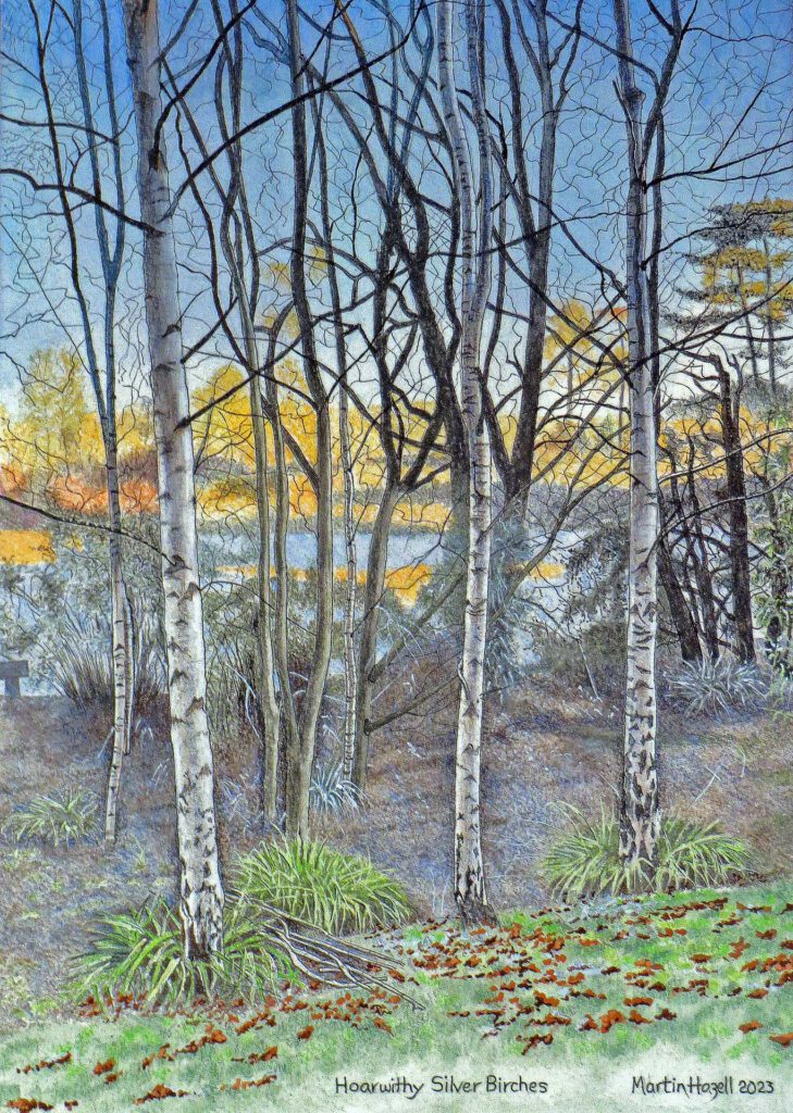 Hoarwithy Silver Birches by Martin Hazell
