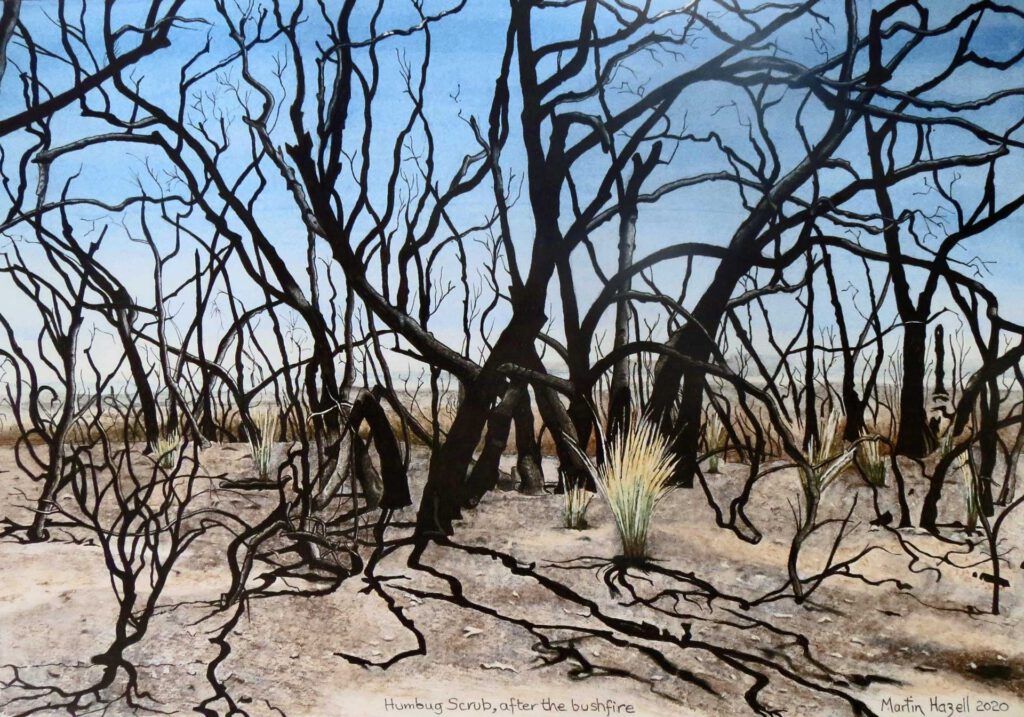 Humbug Scrub Bushfire by Martin Hazell