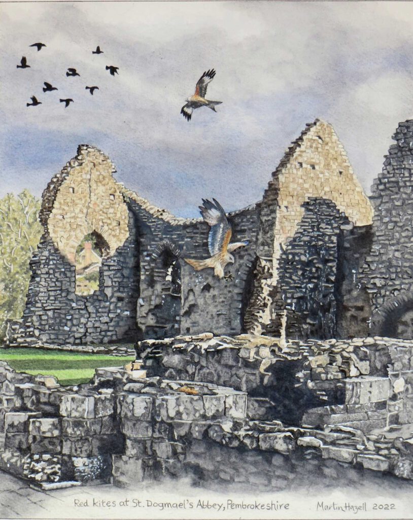 St Dogmas Abbey by Martin Hazell